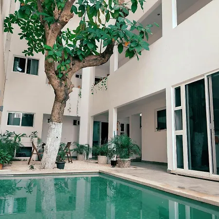 Cozy Studios Zazil-Ha