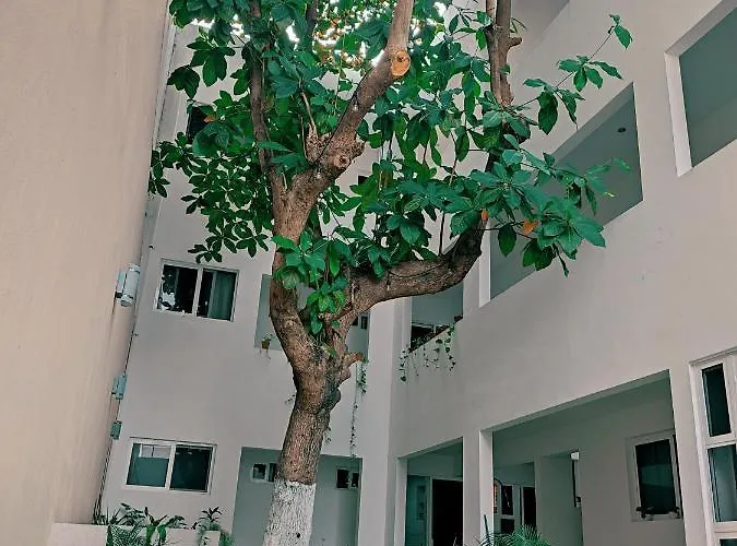 Cozy Zazil-ha *